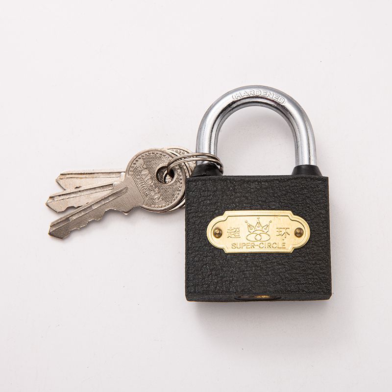 Weather-Resistant Gray Lock